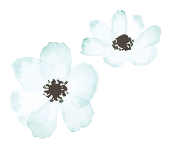 abaut-back-flower-1