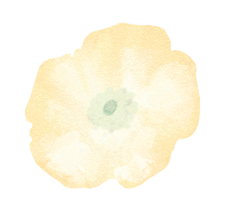 abaut-back-flower-2