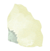 abaut-back-flower-4