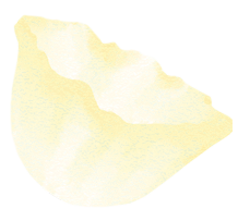 abaut-back-flower-5