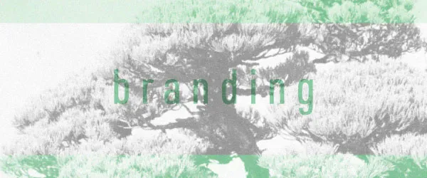 branding-plan