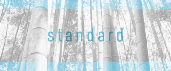 standard-plan